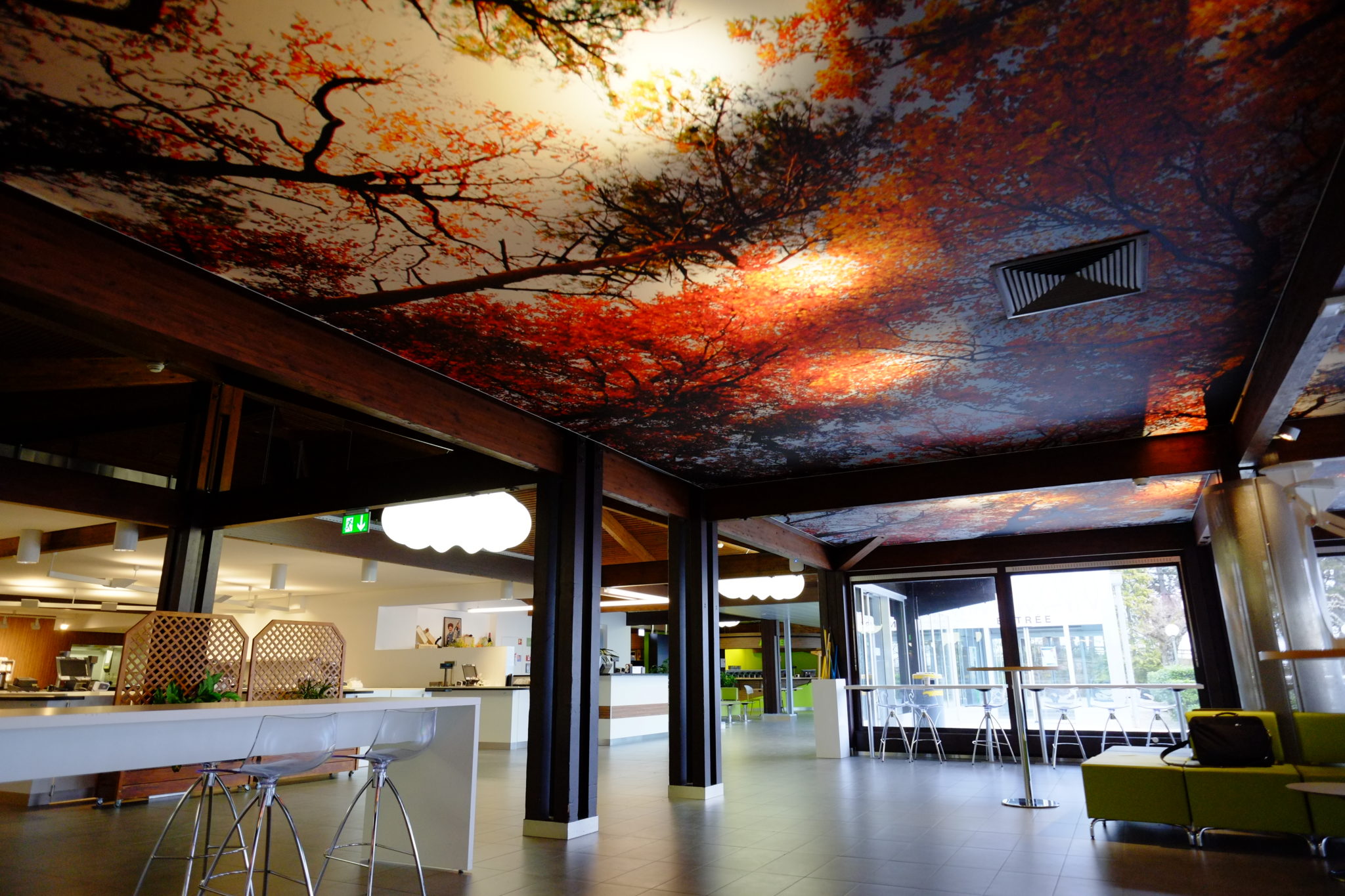 plafond tendu imprimé restaurant avec des motifs de feuillages d'arbre