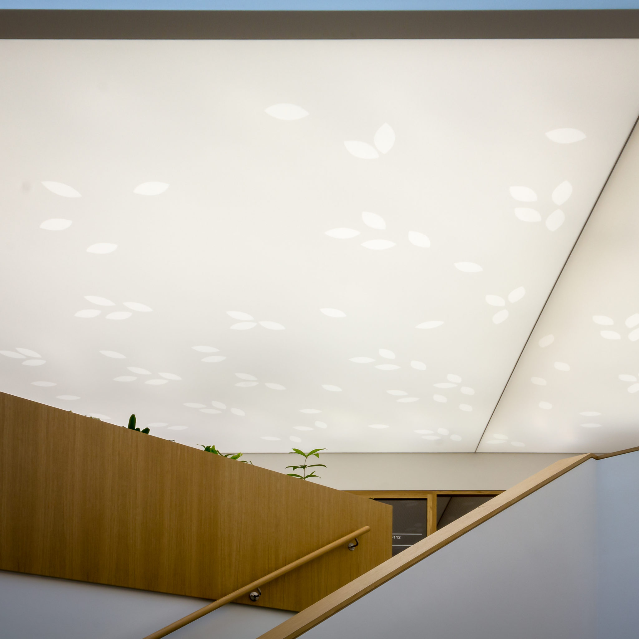 plafond tendu décoratif lumineux