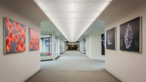 plafond tendu couloir de bureaux